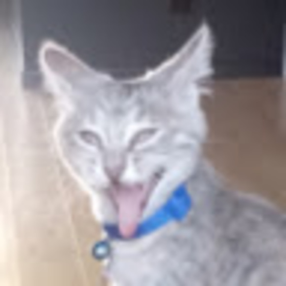 Meet your Posher, Andrea - Picture 1 of 1